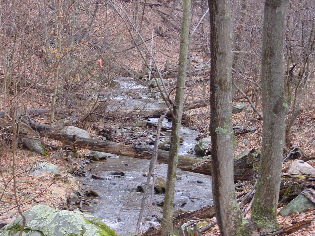 Field photo showing stream conditions at site PRLN-115-R-2003-2