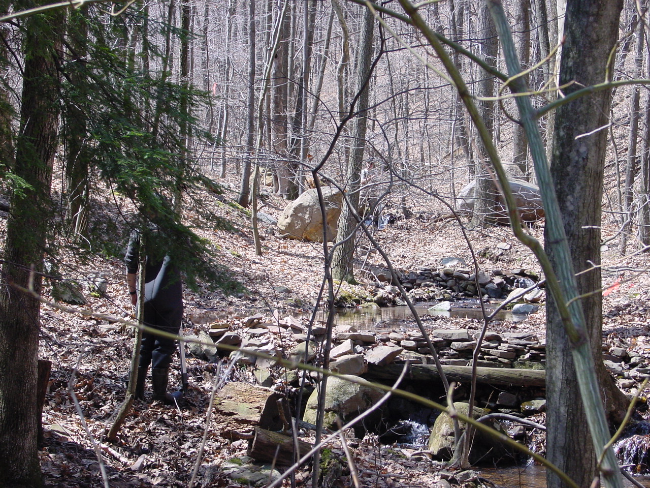 Field photo showing stream conditions at site PRLN-119-R-2003-1