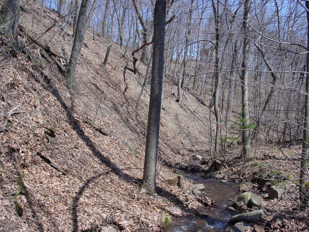 Field photo showing stream conditions at site PRLN-119-R-2003-3