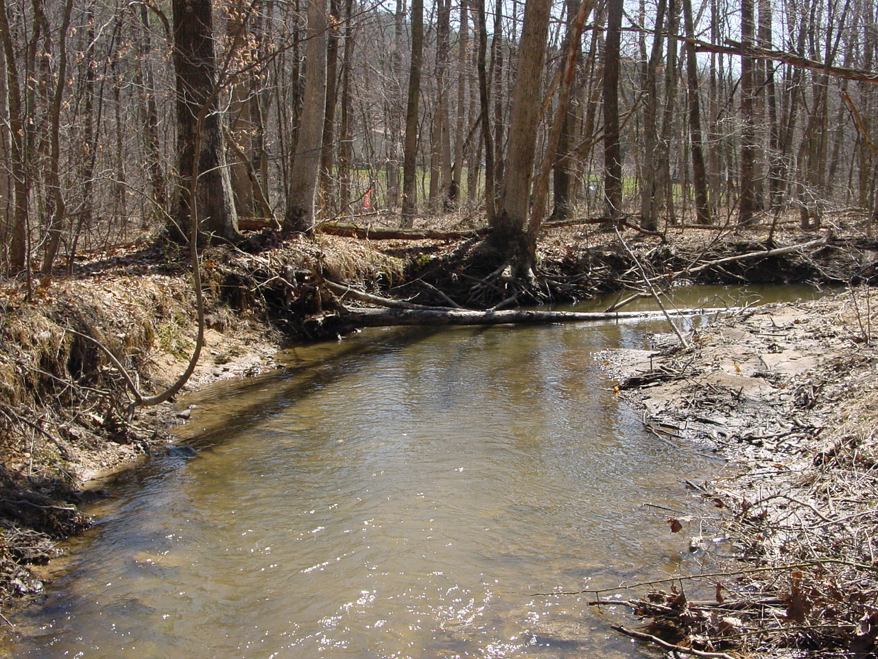 Field photo showing stream conditions at site PRLN-120-R-2003-1