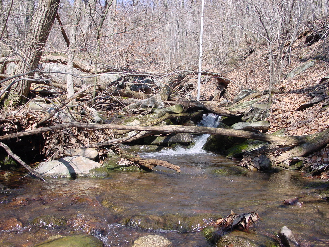 Field photo showing stream conditions at site PRLN-122-R-2003-1