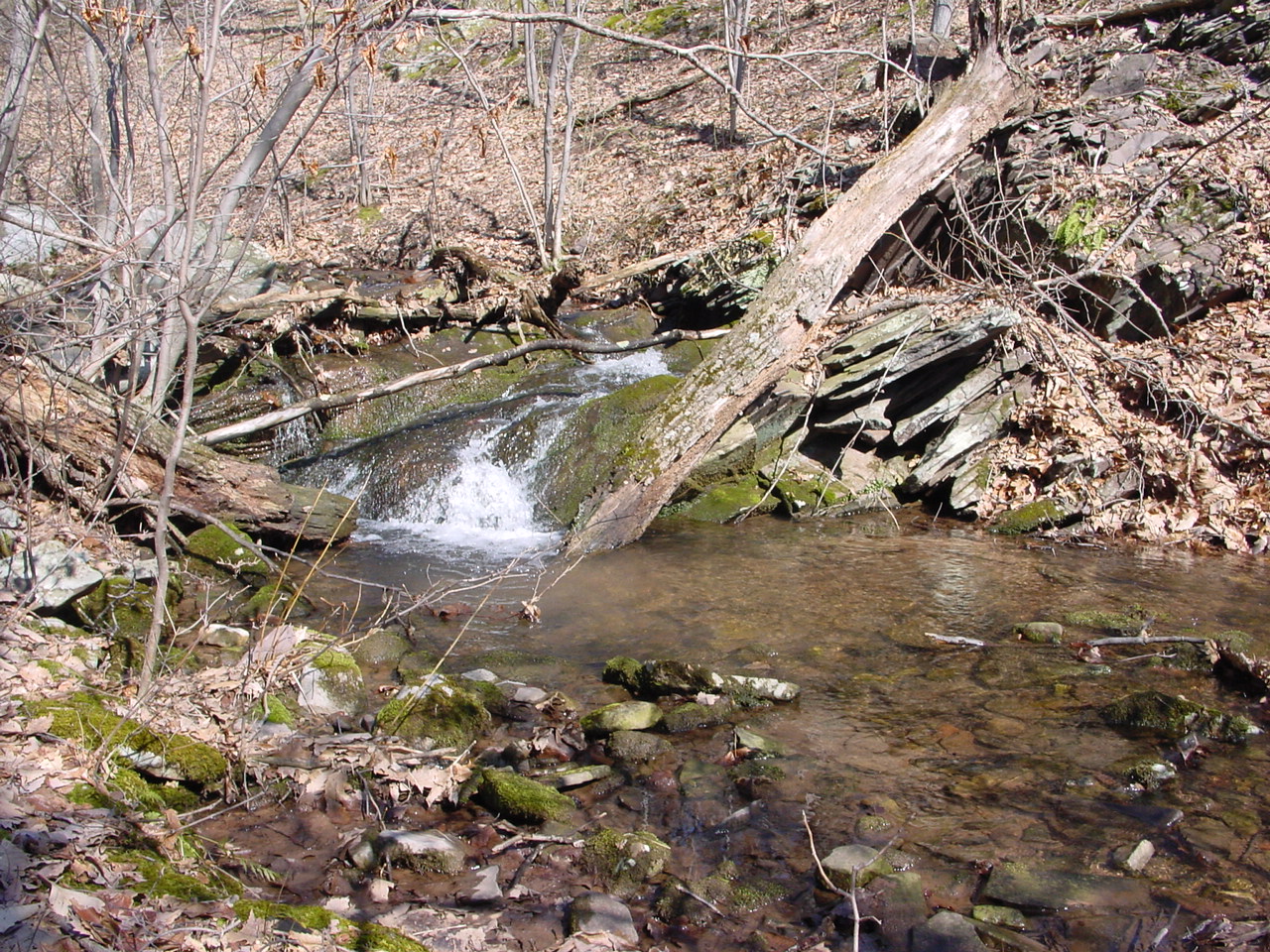 Field photo showing stream conditions at site PRLN-122-R-2003-2