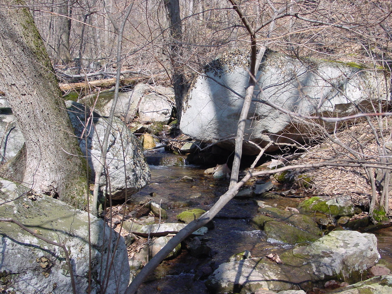 Field photo showing stream conditions at site PRLN-122-R-2003-3