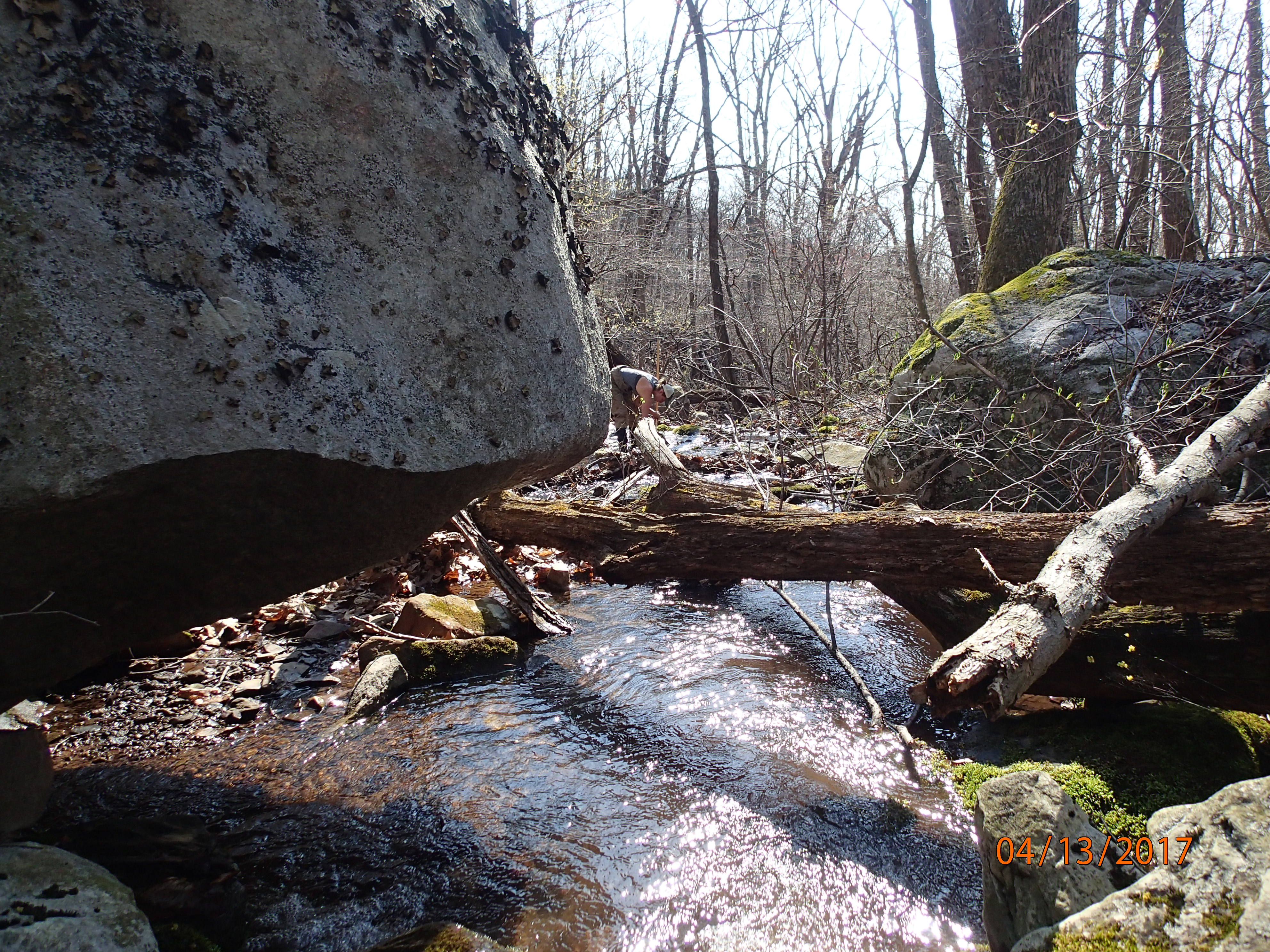 Field photo showing stream conditions at site PRLN-122-R-2017-MidpointDownstream