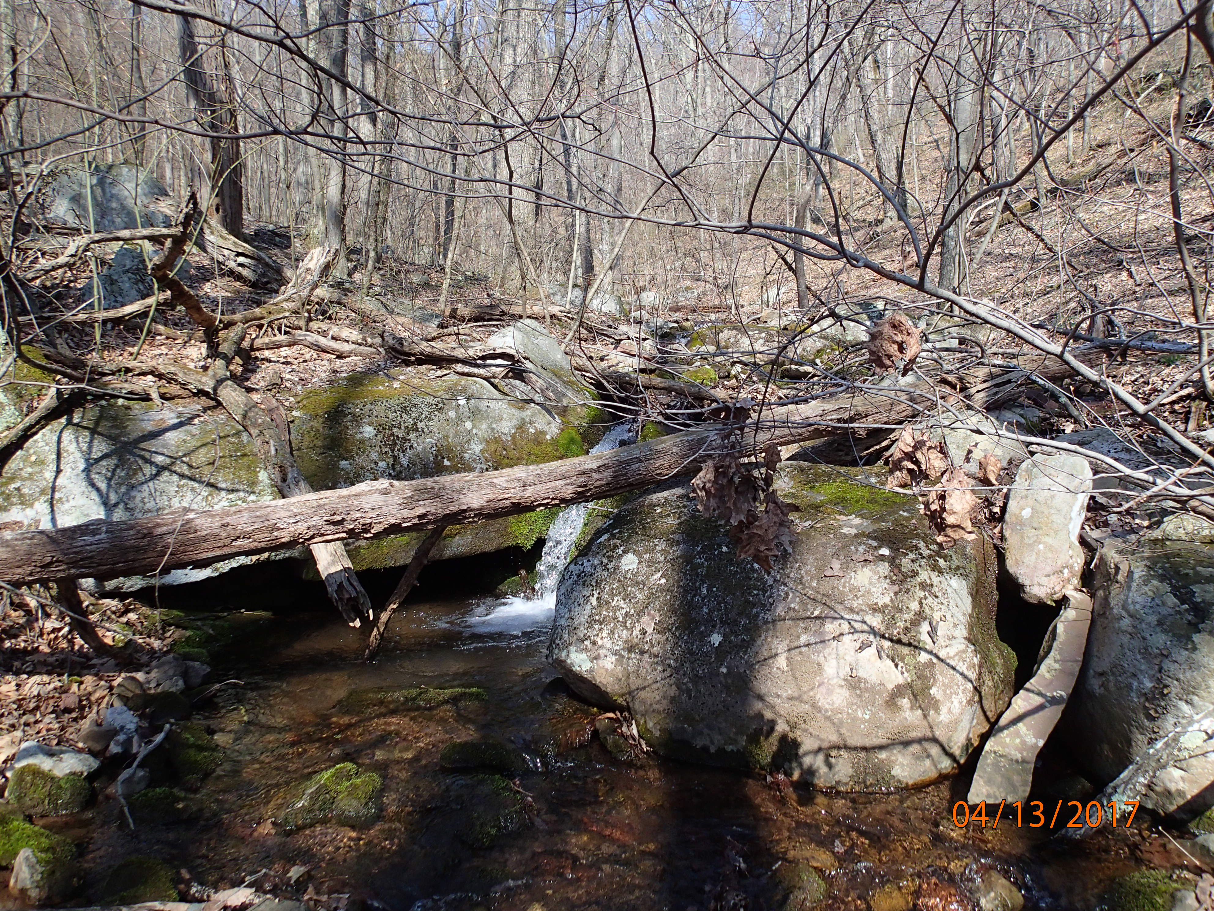 Field photo showing stream conditions at site PRLN-122-R-2017-MidpointUpstream