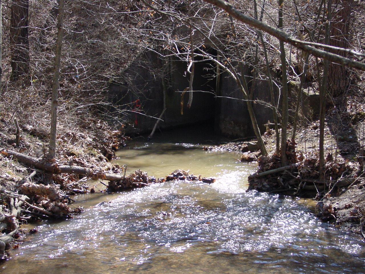 Field photo showing stream conditions at site PRLN-201-R-2003-1