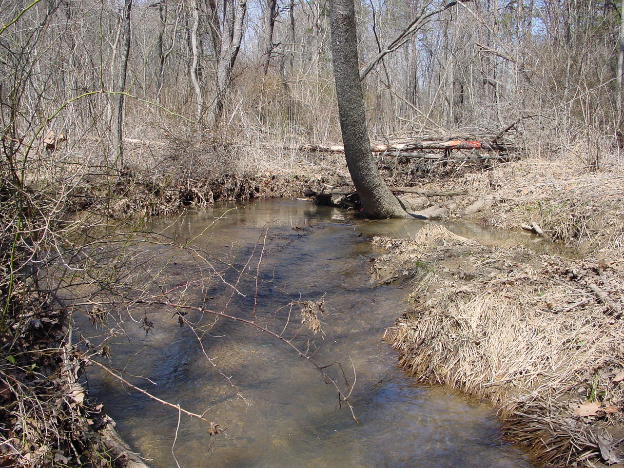 Field photo showing stream conditions at site PRLN-201-R-2003-2