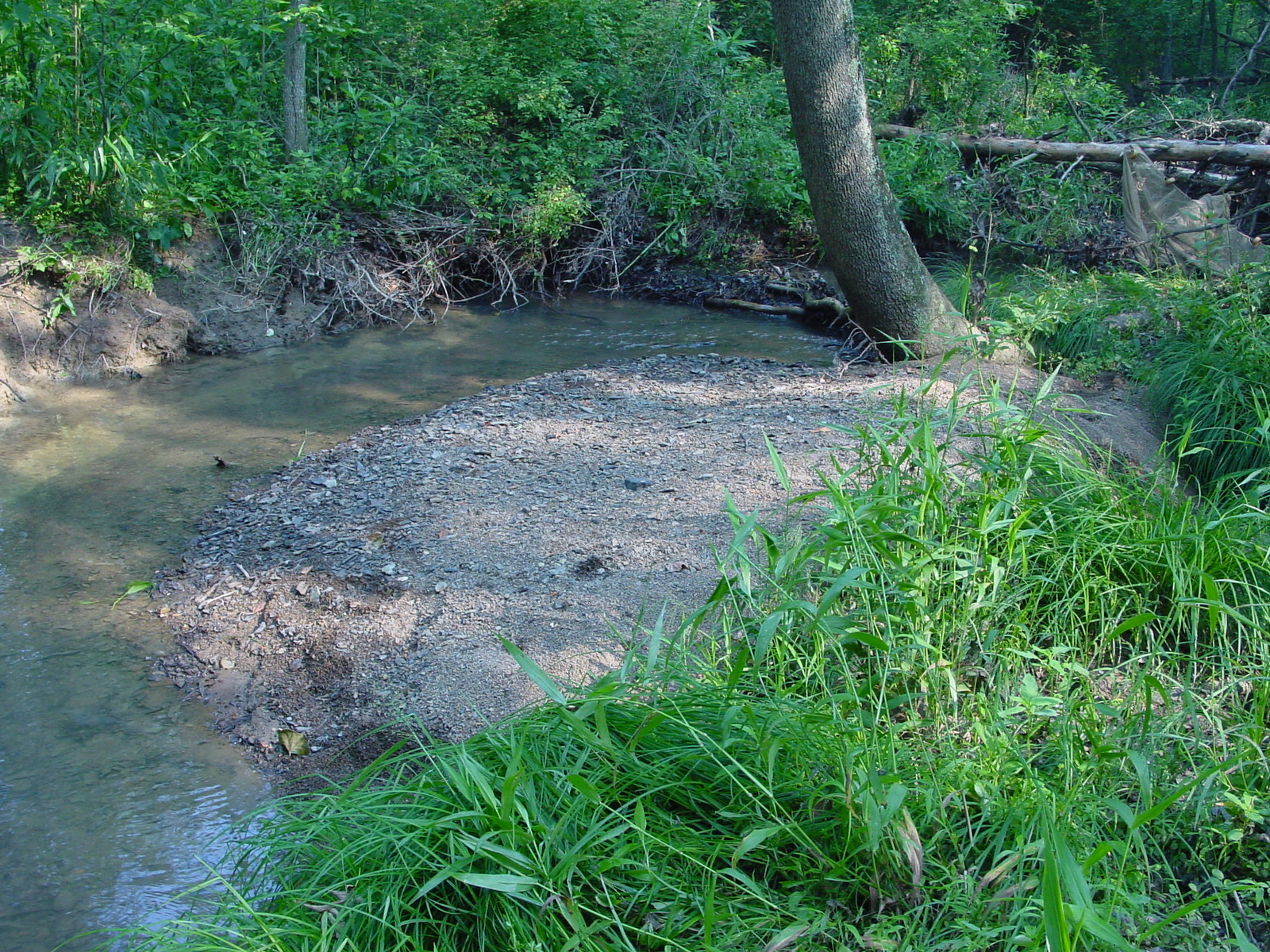 Field photo showing stream conditions at site PRLN-201-R-2003-3