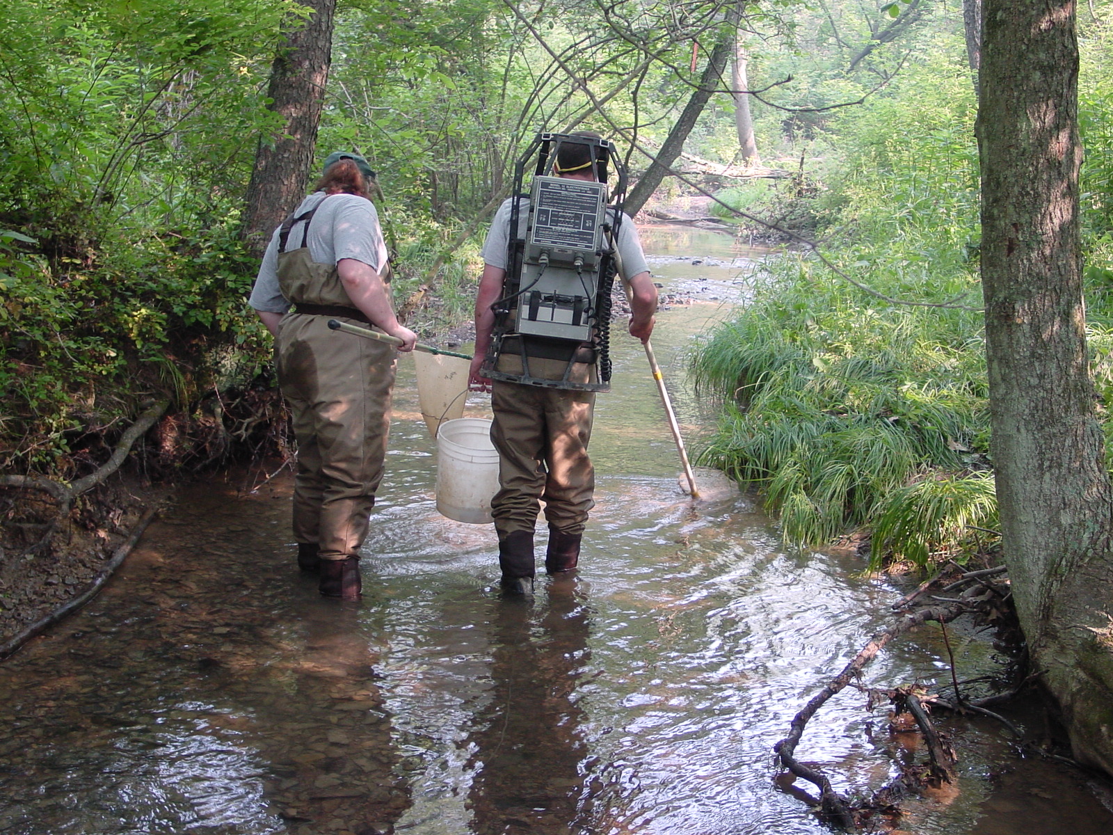 Field photo showing stream conditions at site PRLN-201-R-2003-4