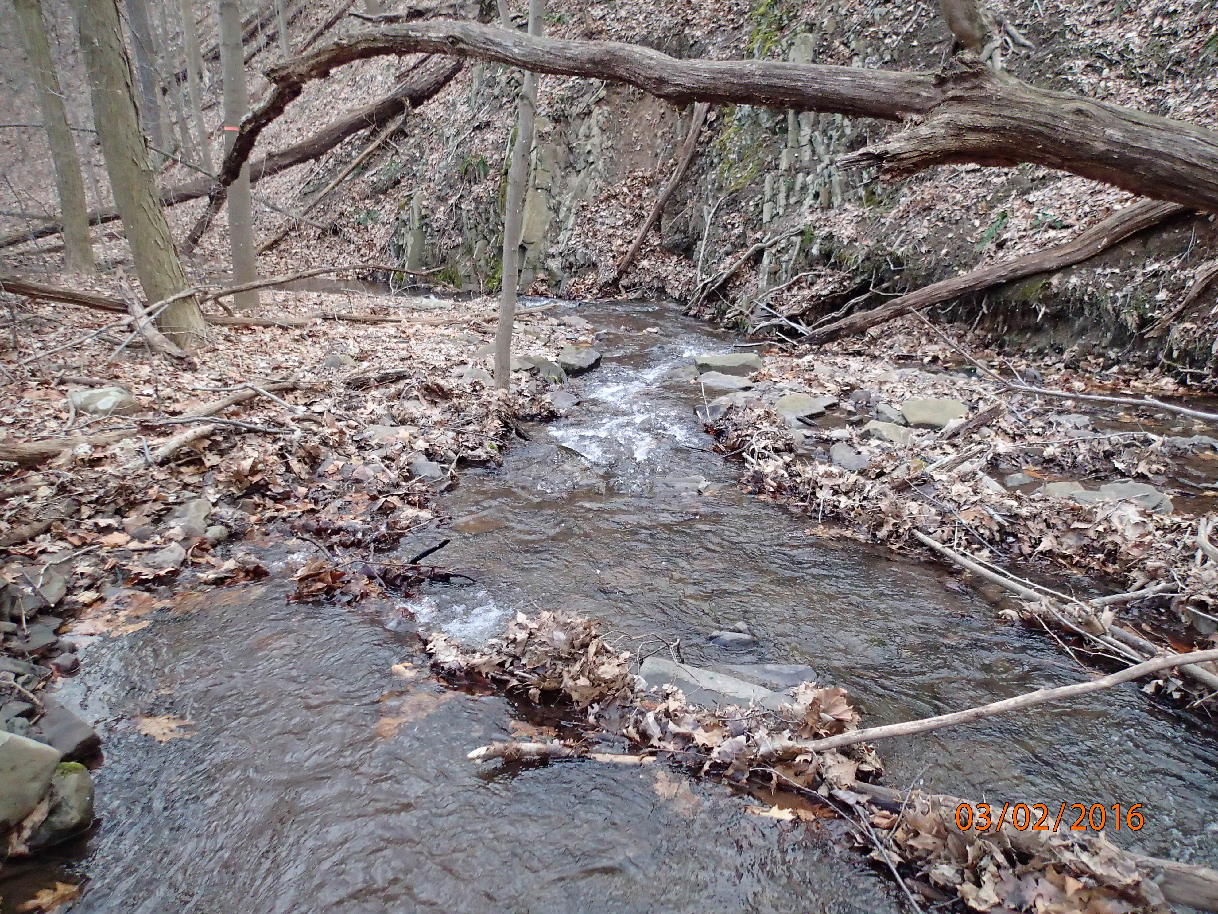 Field photo showing stream conditions at site PRLN-218-R-2016-MidpointDownstream