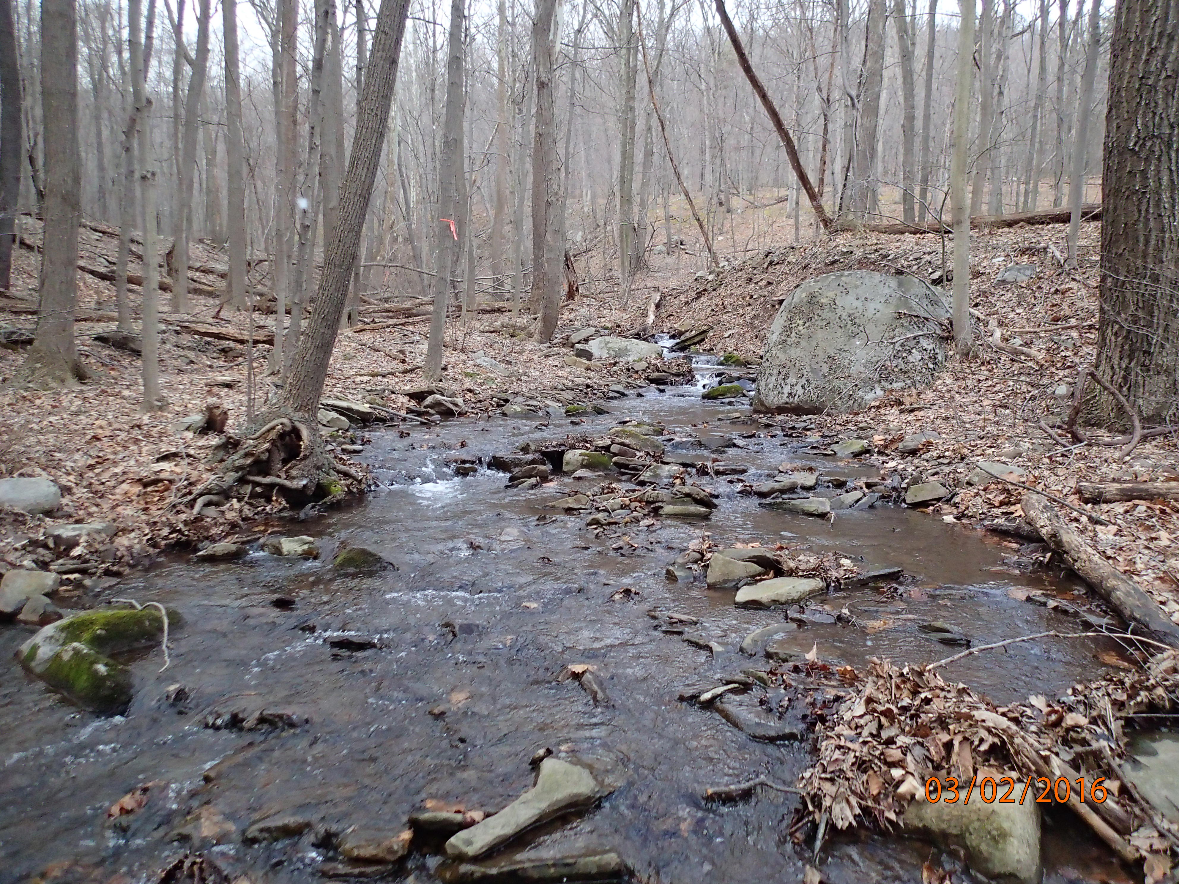 Field photo showing stream conditions at site PRLN-218-R-2016-MidpointUpstream
