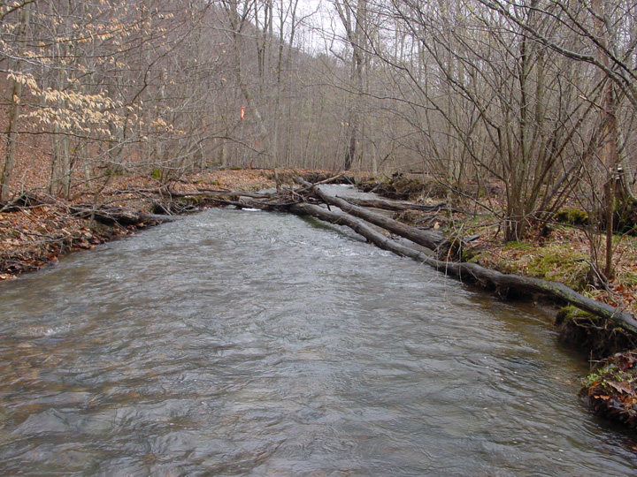 Field photo showing stream conditions at site PRLN-302-R-2007-1