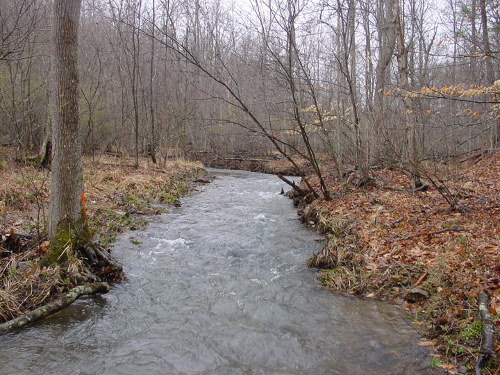 Field photo showing stream conditions at site PRLN-302-R-2007-2