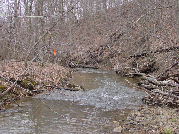 Field photo showing stream conditions at site PRLN-305-R-2007-2