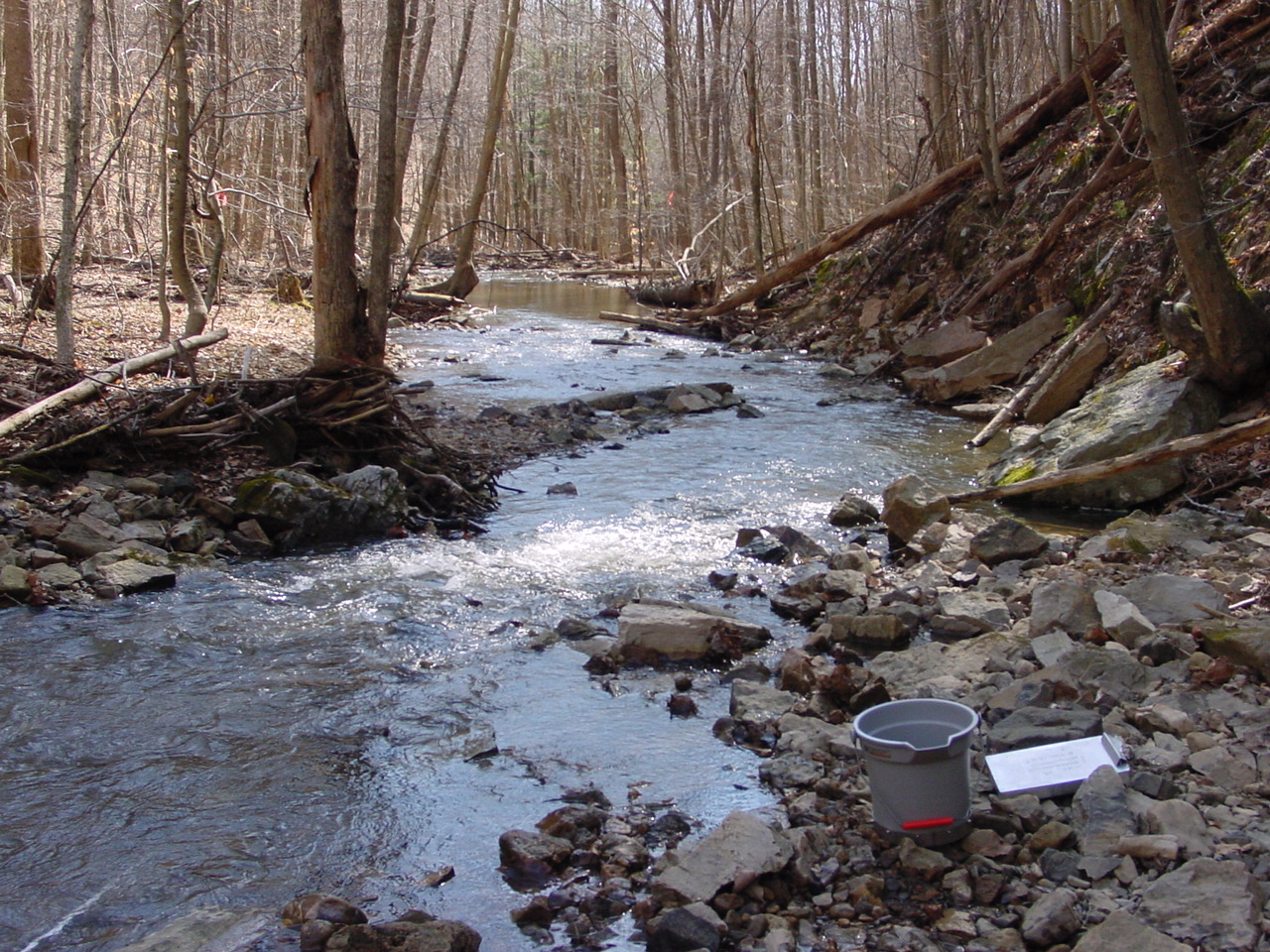 Field photo showing stream conditions at site PRLN-306-R-2003-1