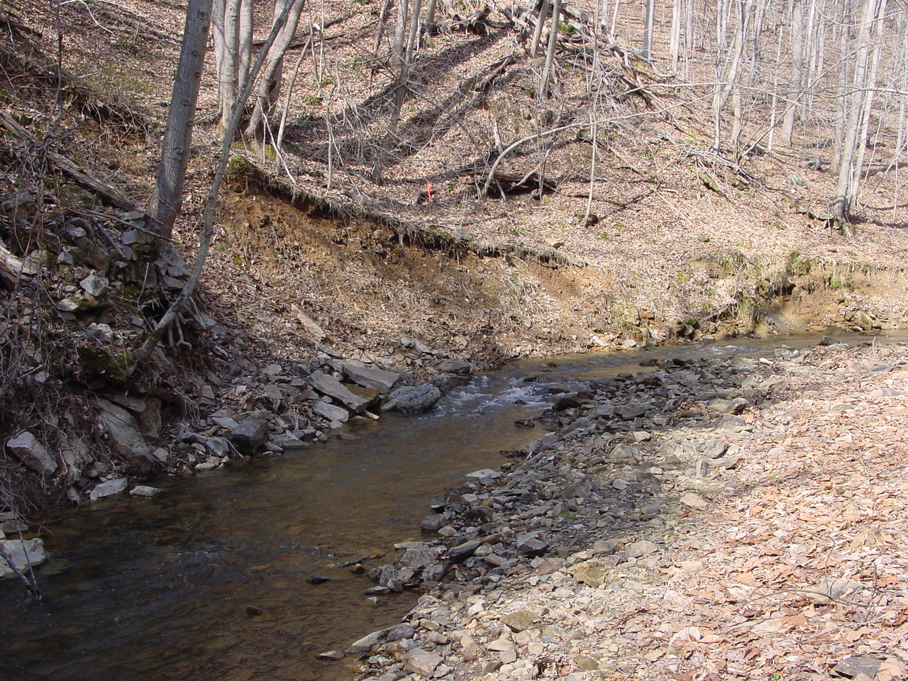 Field photo showing stream conditions at site PRLN-306-R-2003-3