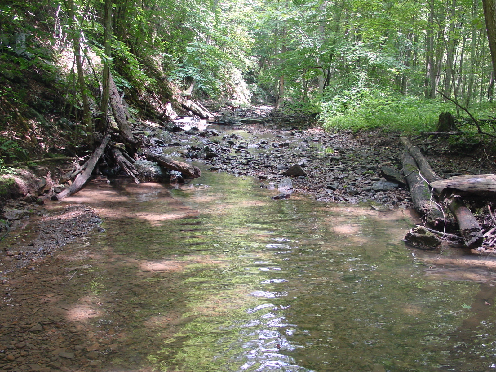 Field photo showing stream conditions at site PRLN-306-R-2003-4