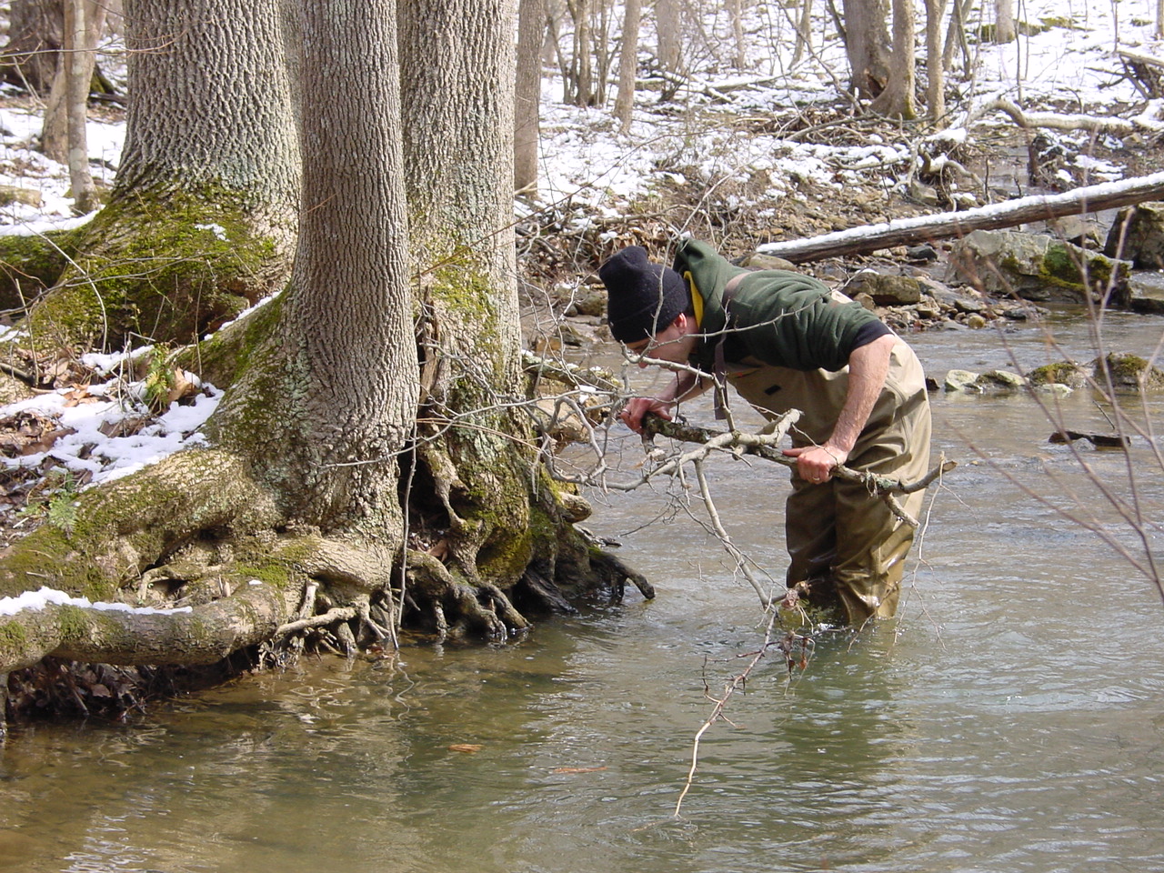 Field photo showing stream conditions at site PRLN-318-R-2003-1