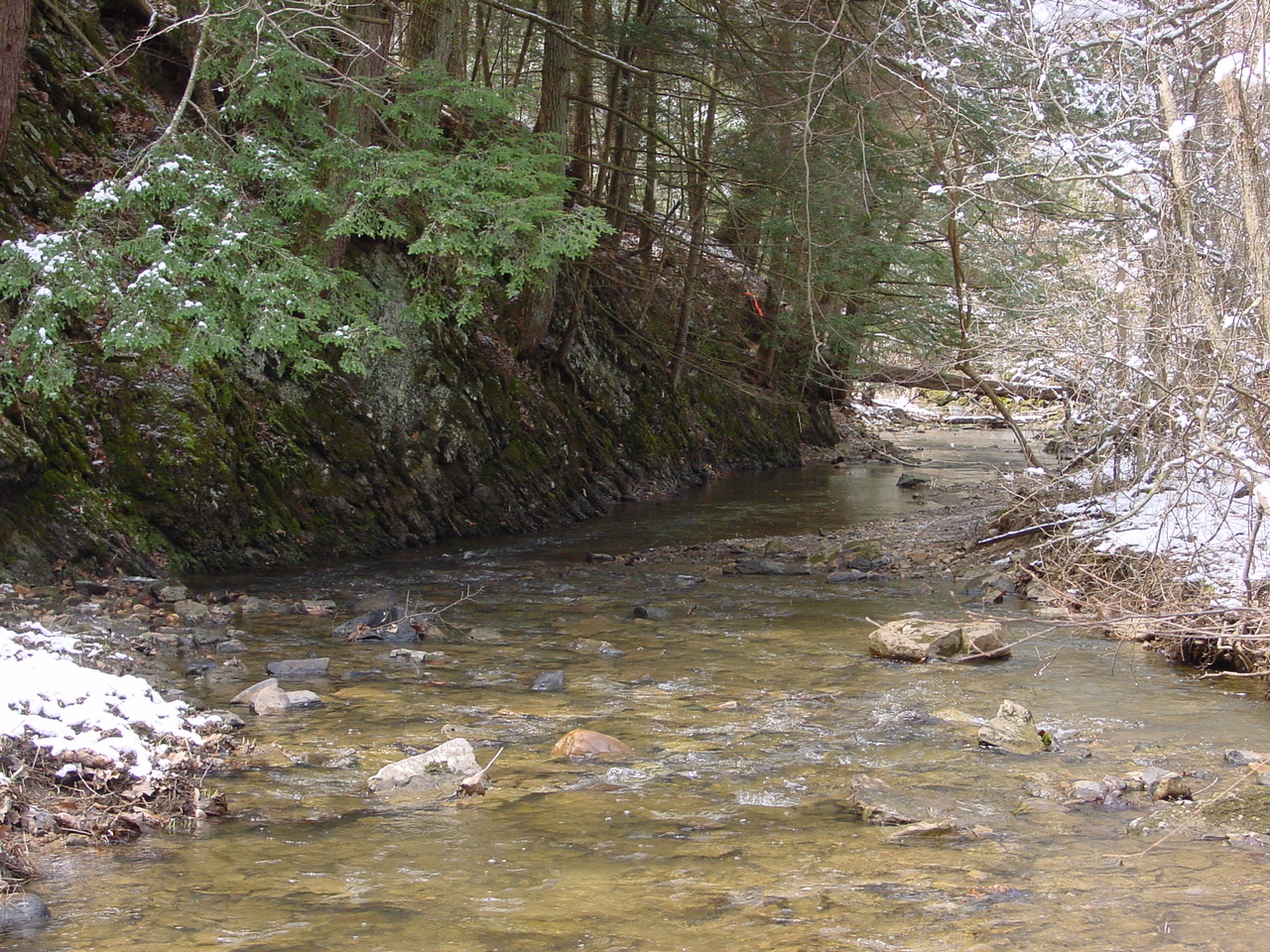 Field photo showing stream conditions at site PRLN-318-R-2003-2