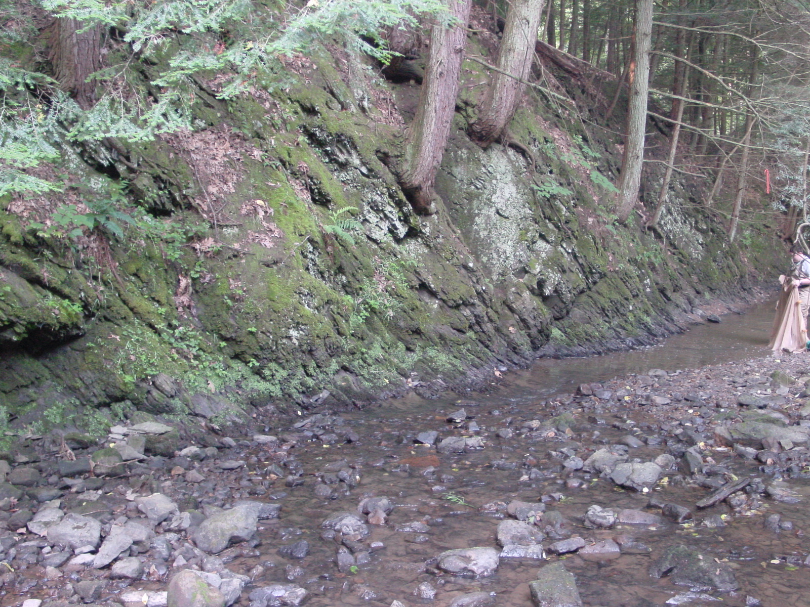 Field photo showing stream conditions at site PRLN-318-R-2003-3