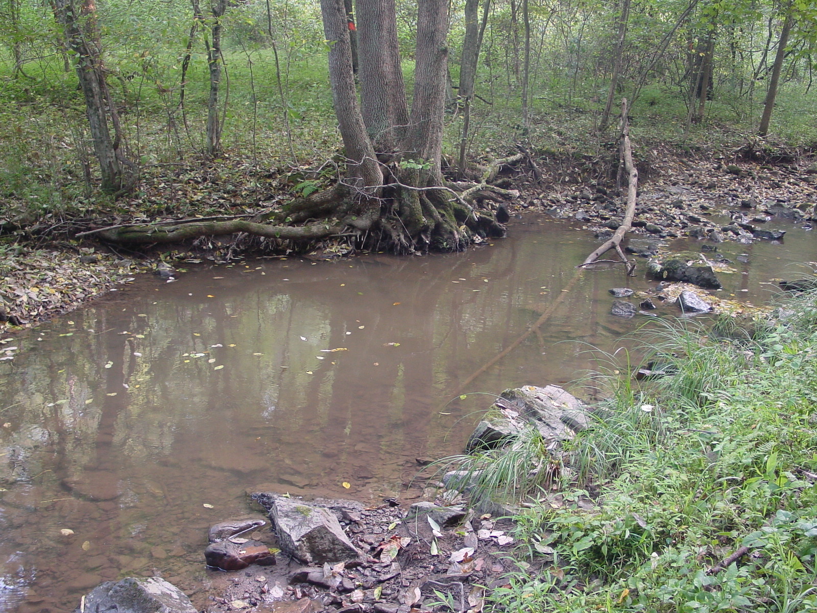Field photo showing stream conditions at site PRLN-318-R-2003-4