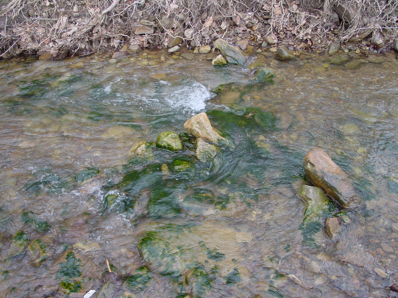 Field photo showing stream conditions at site PRLN-321-R-2003-2