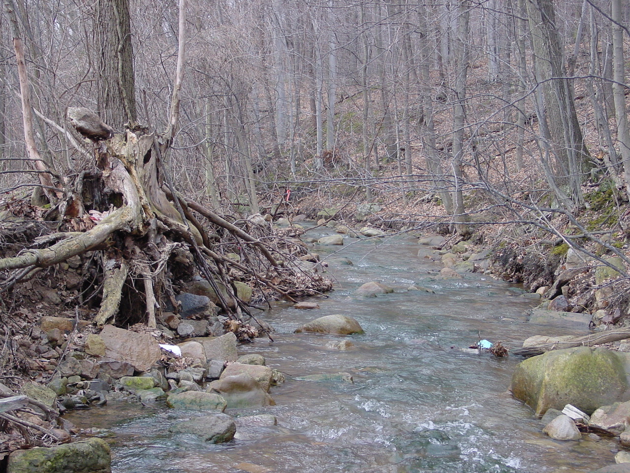 Field photo showing stream conditions at site PRLN-321-R-2003-3