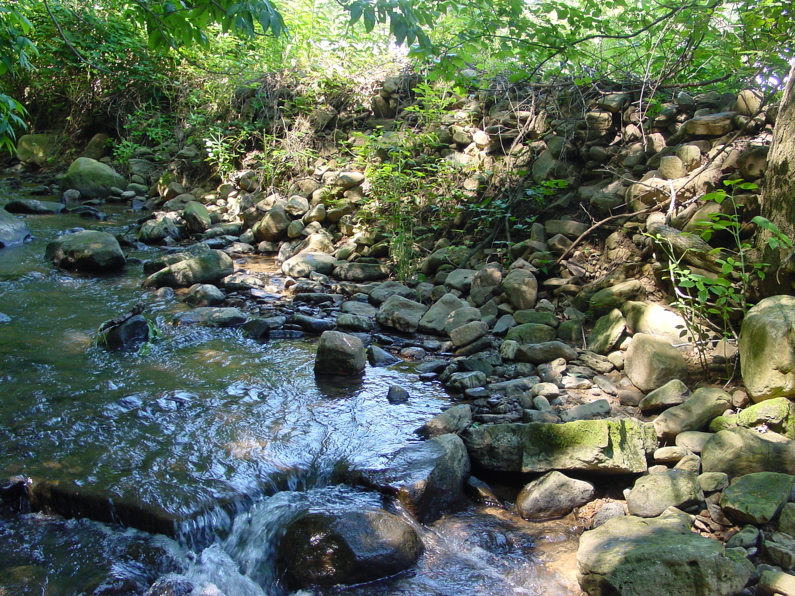 Field photo showing stream conditions at site PRLN-321-R-2003-4