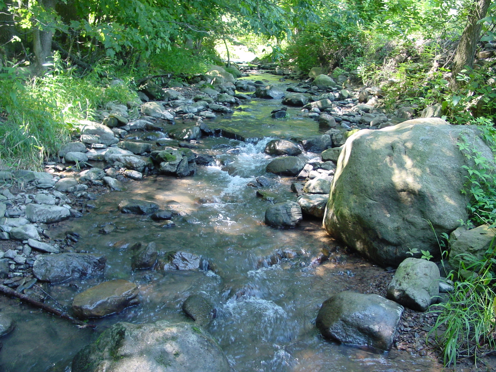 Field photo showing stream conditions at site PRLN-321-R-2003-5