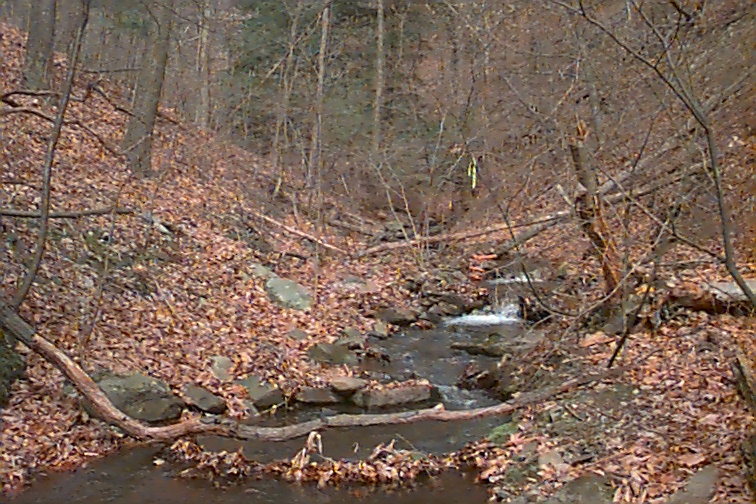 Field photo showing stream conditions at site PRLN-626-S-2000-01