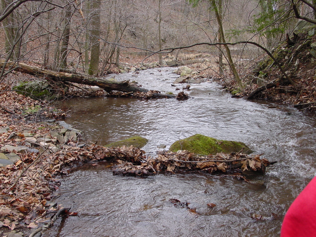Field photo showing stream conditions at site PRLN-626-S-2002-1