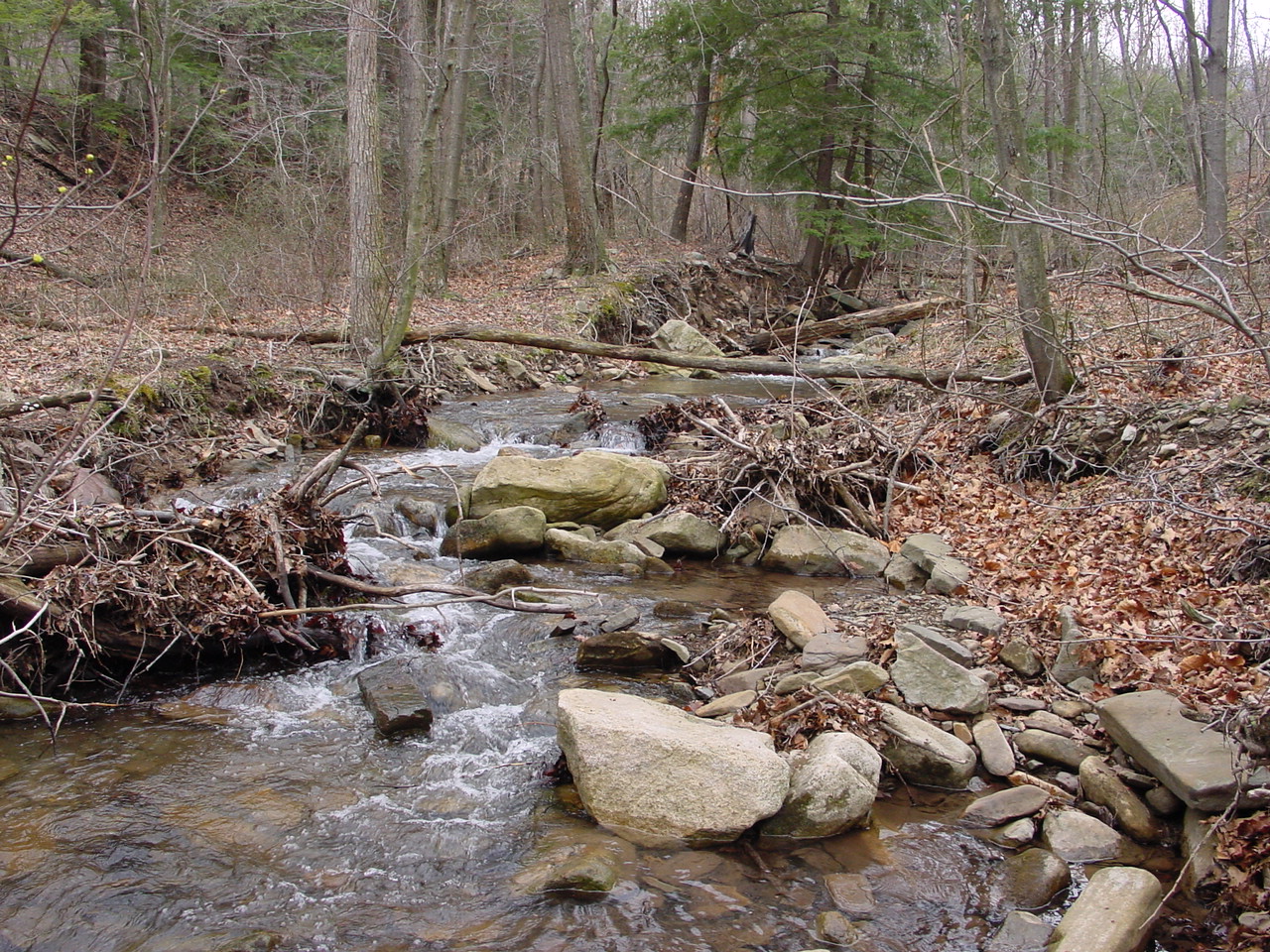 Field photo showing stream conditions at site PRLN-626-S-2002-2