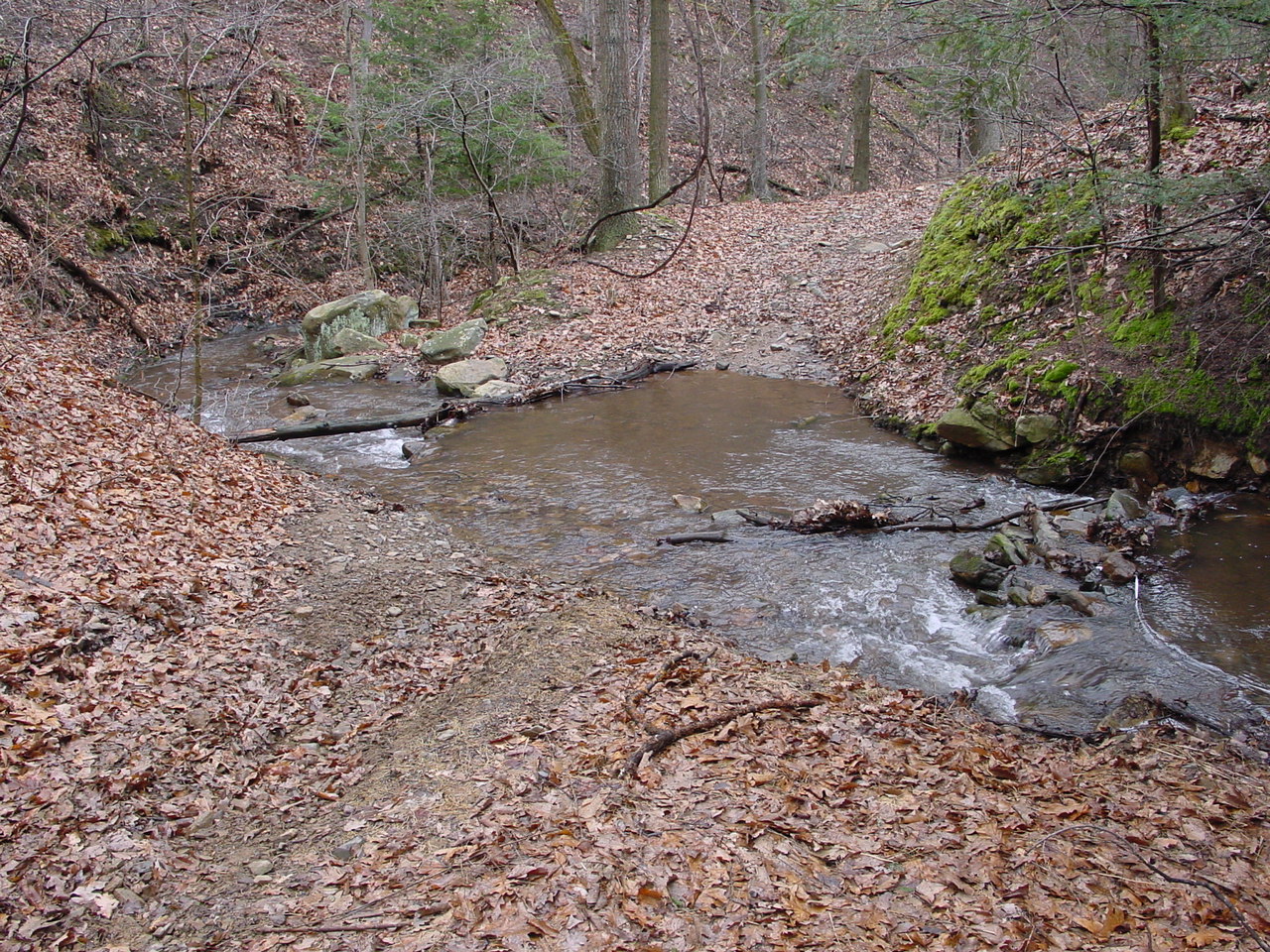 Field photo showing stream conditions at site PRLN-626-S-2003-1