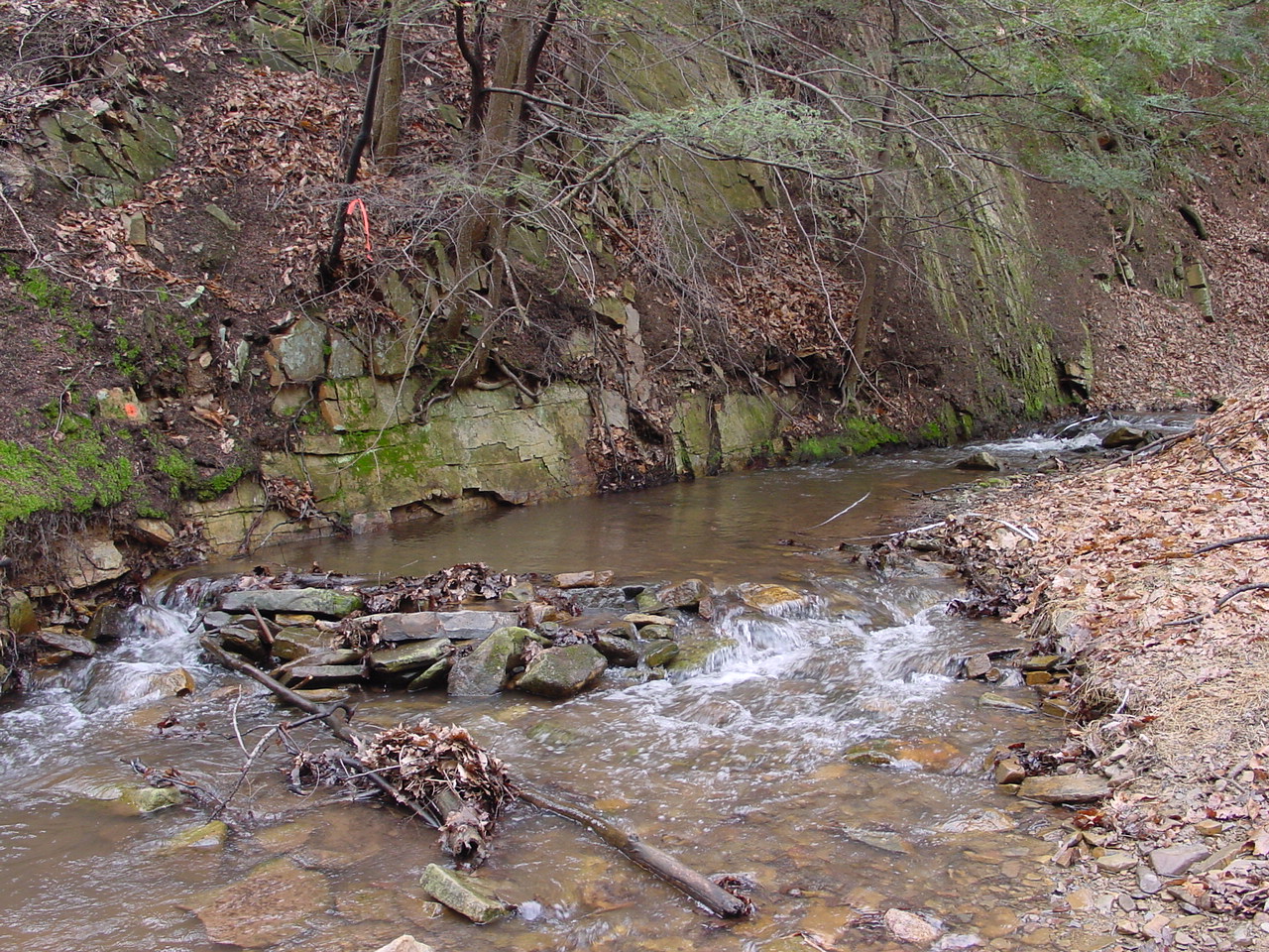Field photo showing stream conditions at site PRLN-626-S-2003-2