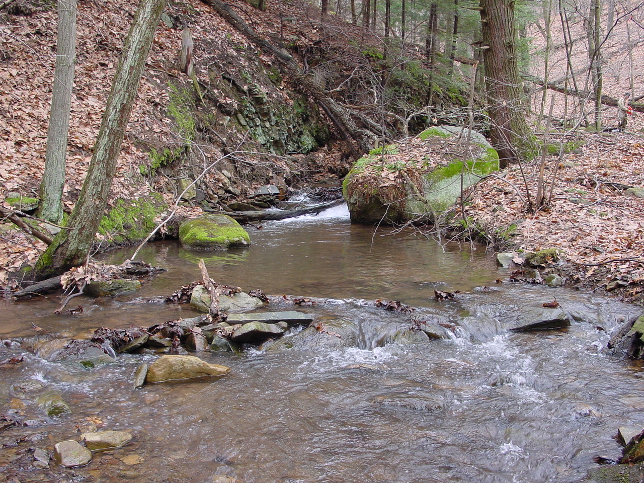 Field photo showing stream conditions at site PRLN-626-S-2003-3