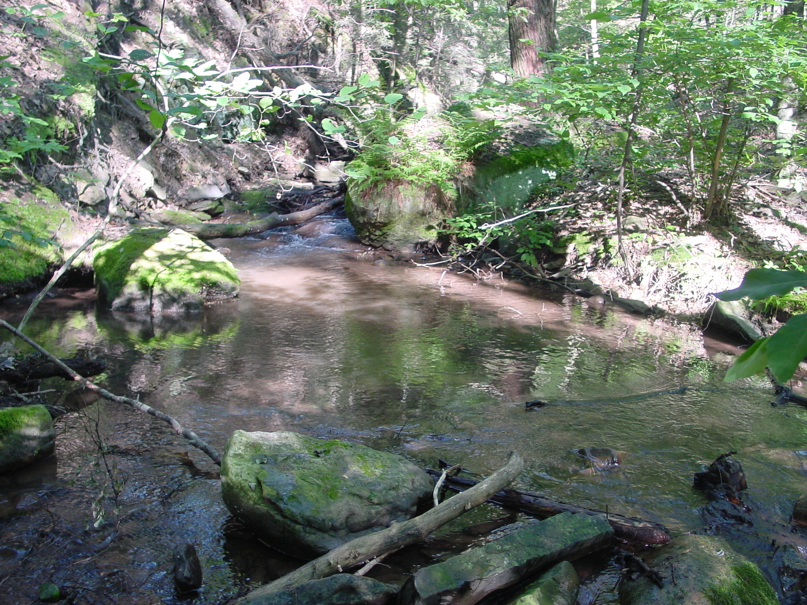 Field photo showing stream conditions at site PRLN-626-S-2003-4