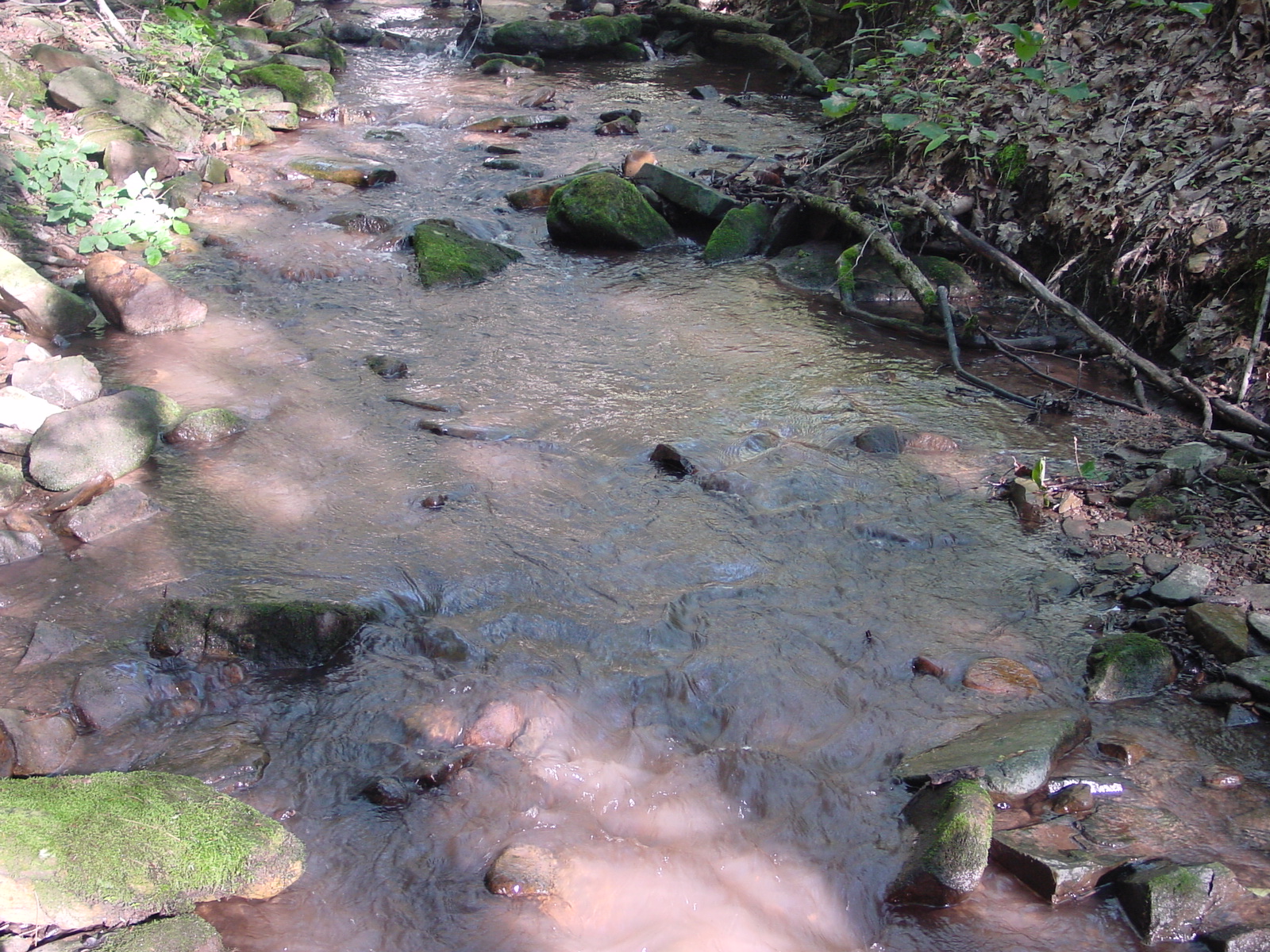 Field photo showing stream conditions at site PRLN-626-S-2003-5
