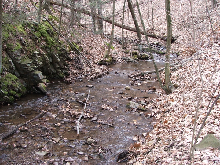 Field photo showing stream conditions at site PRLN-626-S-2008-1
