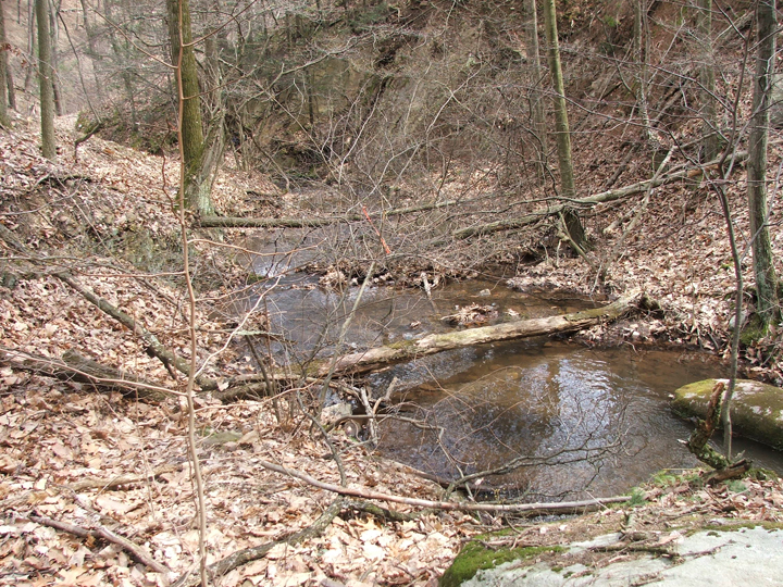 Field photo showing stream conditions at site PRLN-626-S-2008-2