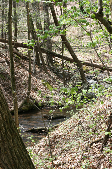 Field photo showing stream conditions at site PRLN-626-S-2009-2