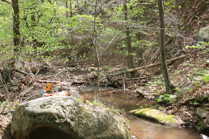 Field photo showing stream conditions at site PRLN-626-S-2010-2