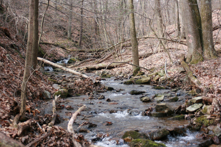 Field photo showing stream conditions at site PRLN-626-S-2011-2