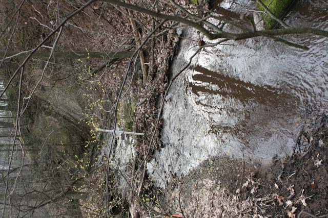 Field photo showing stream conditions at site PRLN-626-S-2012-30mPdownstream