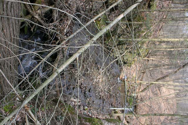 Field photo showing stream conditions at site PRLN-626-S-2012-30mPupstream