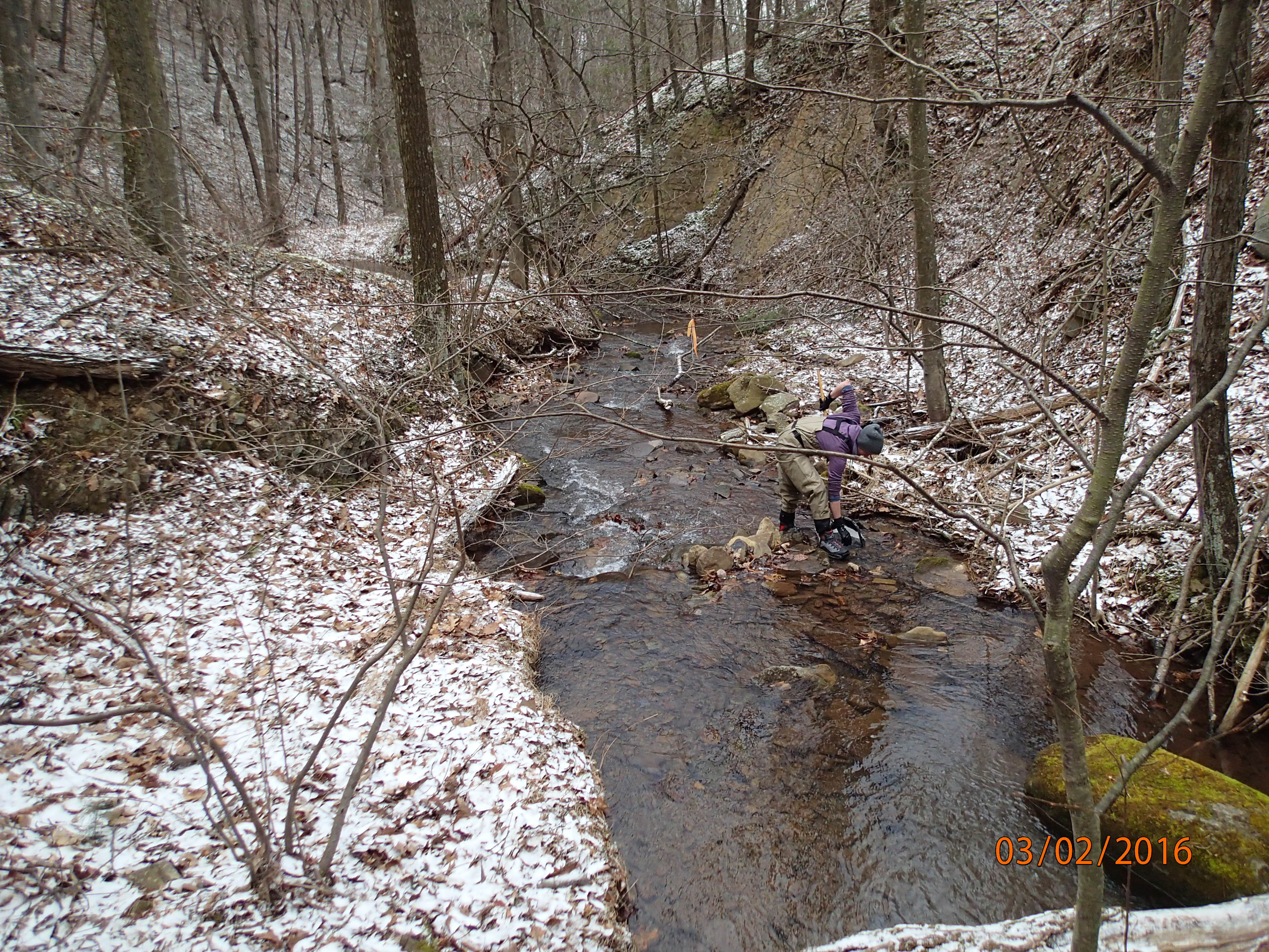 Field photo showing stream conditions at site PRLN-626-S-2016-DownstreamFromBoulderAt30m