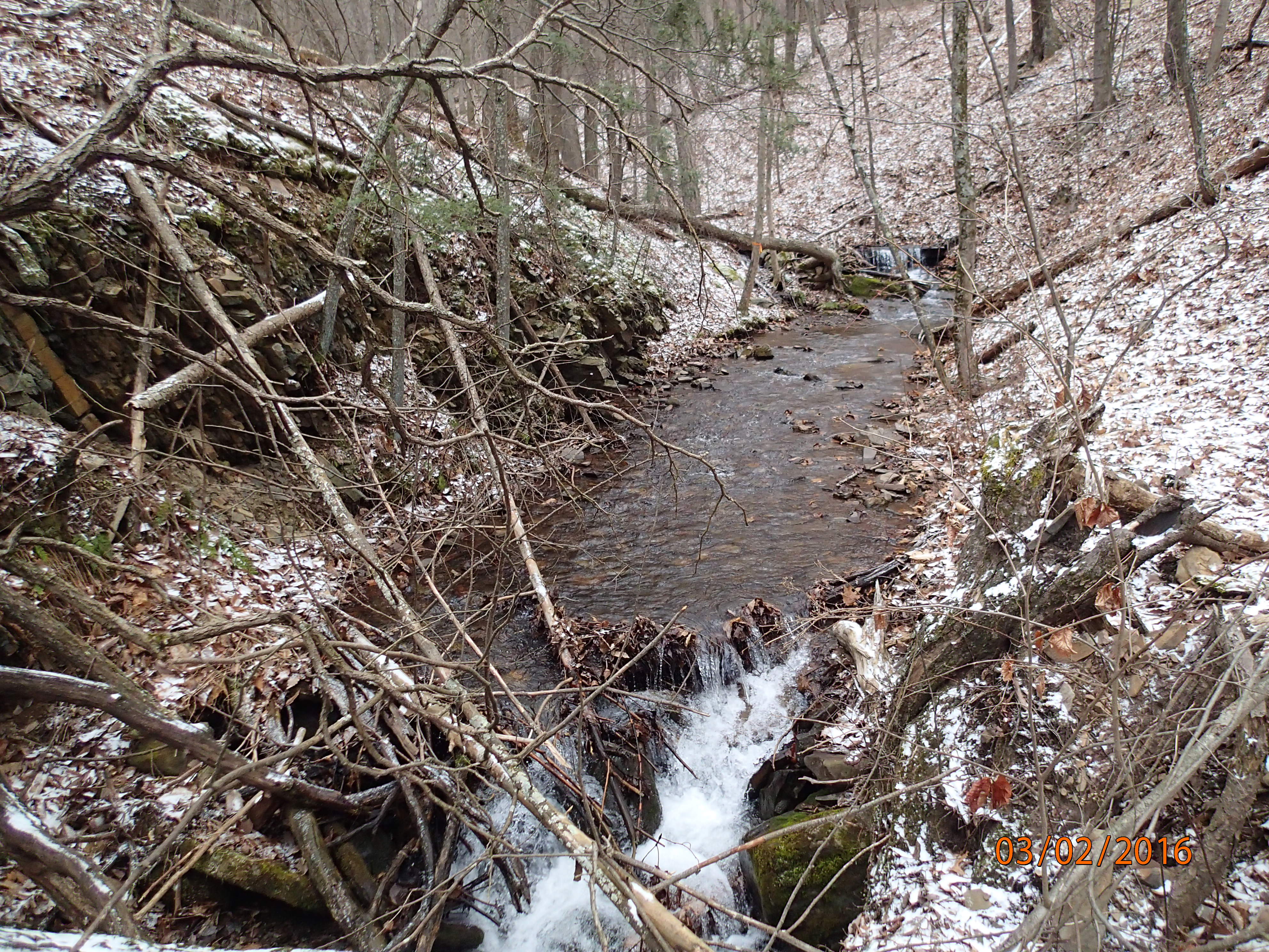 Field photo showing stream conditions at site PRLN-626-S-2016-UpstreamFromBoulderAt30m