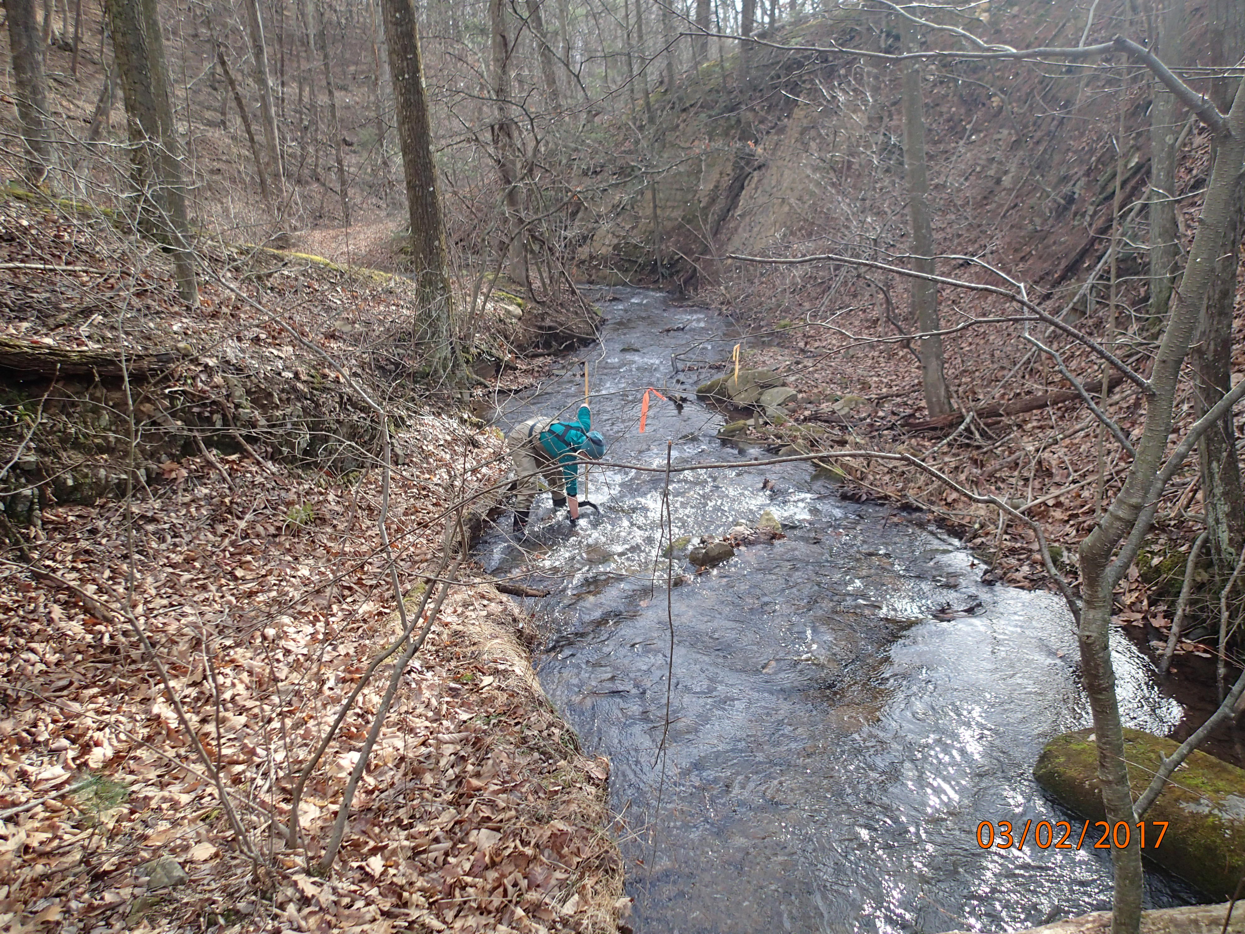 Field photo showing stream conditions at site PRLN-626-S-2017-DownstreamFromBoulderAt30m