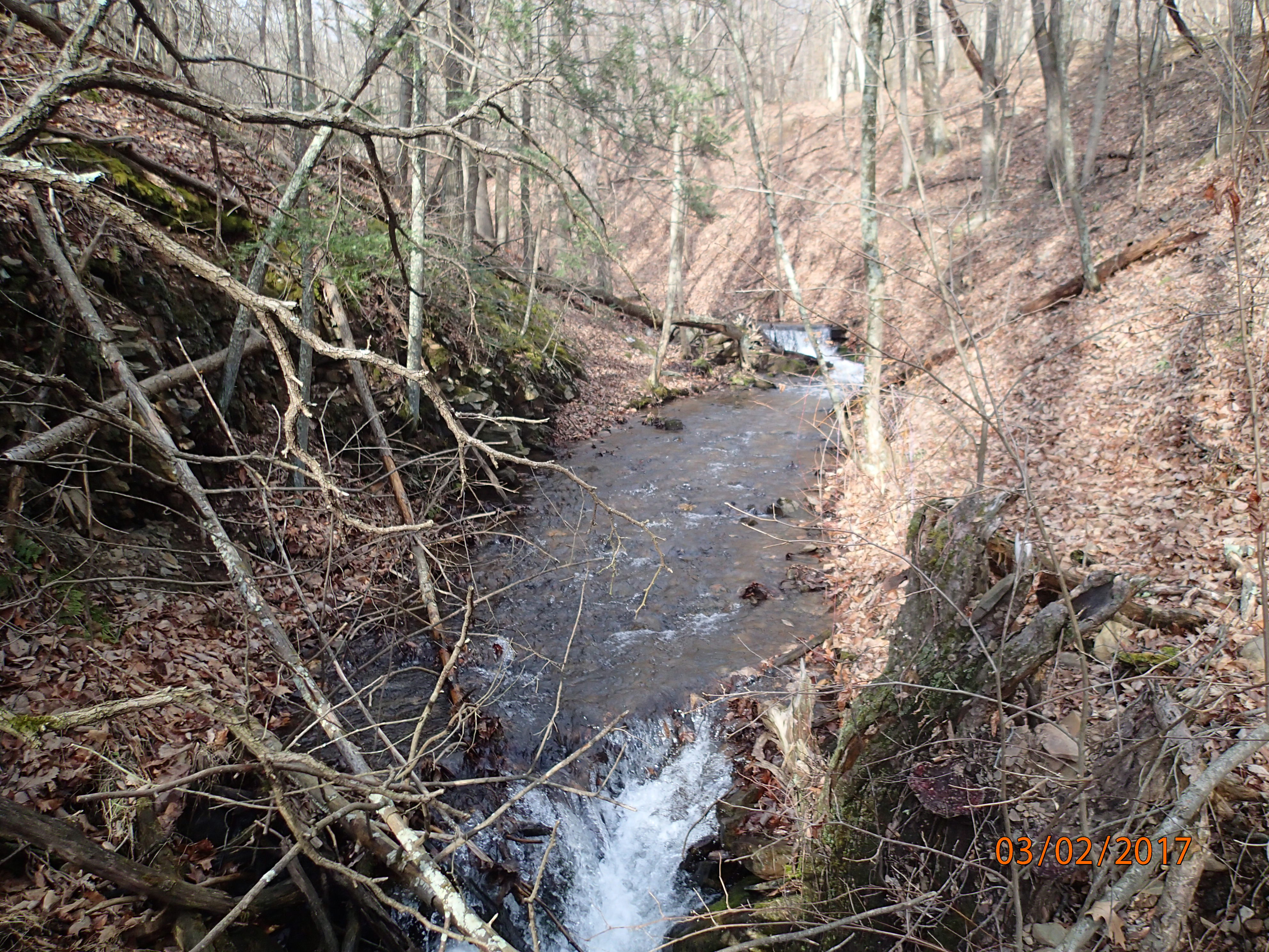 Field photo showing stream conditions at site PRLN-626-S-2017-UpstreamFromBoulderAt30m