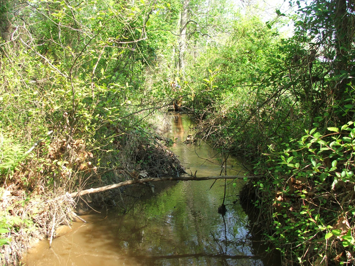 Field photo showing stream conditions at site PRLT-101-B-2008-1