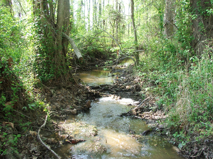 Field photo showing stream conditions at site PRLT-101-B-2008-2